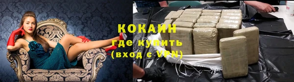 гашик Сосновка
