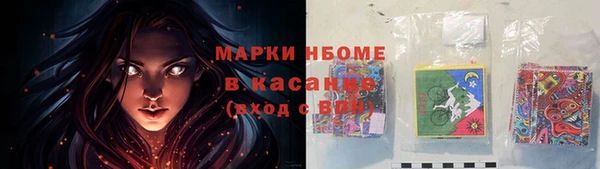индика Белокуриха