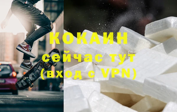индика Белокуриха