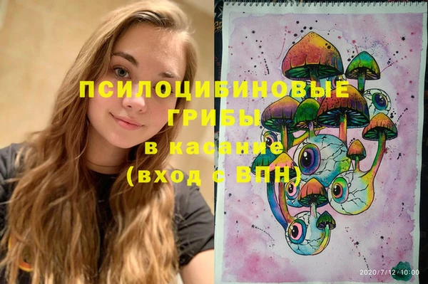 индика Белокуриха