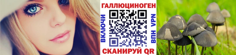 Псилоцибиновые грибы мухоморы  закладки  Верхний Уфалей 